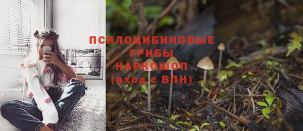 ПСИЛОЦИБИНОВЫЕ ГРИБЫ Алексин