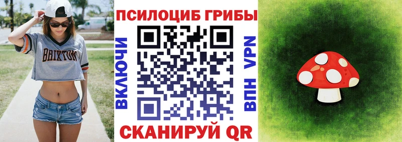 KRAKEN маркетплейс  Жиздра  Галлюциногенные грибы Magic Shrooms  закладка 
